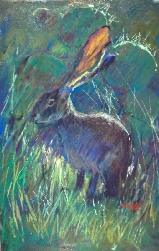 Jack the Rabbit by artist julia fletcher